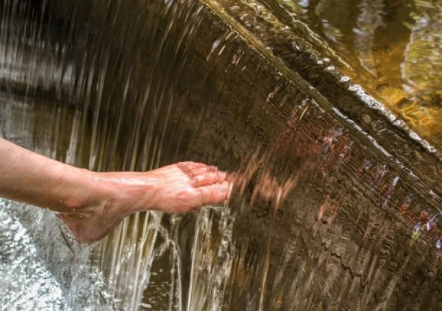 艾葉泡腳的方法-用艾草泡腳時，要記住禁忌哪些，很多人不懂，總是泡錯？